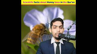 Scientific facts about honey bee 🐝 in the Qur'an #shorts #viral