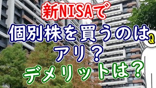 新NISAで個別株を買うのはアリ？デメリットは？