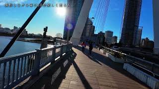 2025/01/11 30分ランニング【越中島公園（門前仲町近辺）】#347 #running #run