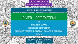 River ecosystem