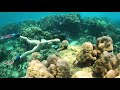 trisara and freedive at koh surin with blue smile