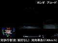 アコード：被害軽減ブレーキ試験 夜間：街灯なし cpfo40km h