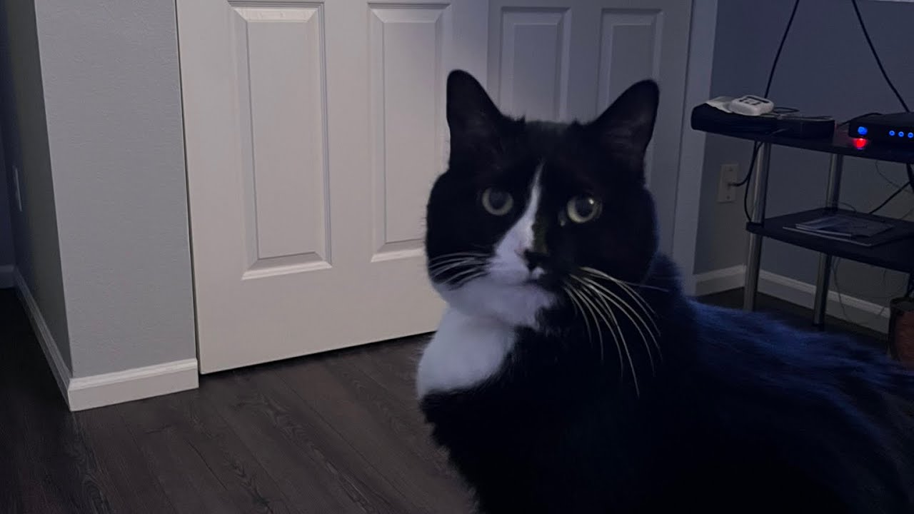 Flosstube 25 Youtube