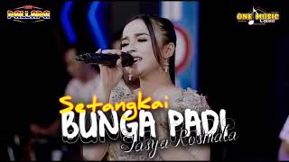 SETANGKAI BUNGA PADI Tasya Rosmala NEW PALLAPA, RESPANEL #onemusic