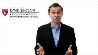 How to Reverse Aging? David Sinclair - Epigenetic Information