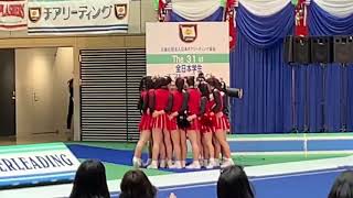 成蹊大学DELPHIS 2019 全日本チアリーディング学生選手権大会