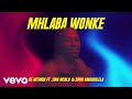 De Mthuda - Mhlaba Wonke (Visualizer) ft. Sino Msolo, Sipho Magudulela
