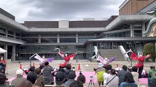 【公式】有閑踊り子一座飛舞人　彩咲舞　京都さくらよさこい　ロームシアター会場