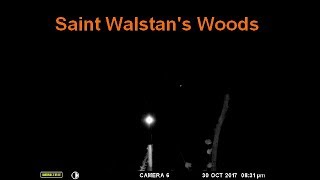 Unexplainable Lights on Trail Cam | Saint Walstan's Woods