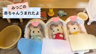 #シルバニアファミリー ショコラウサギみつごの赤ちゃんうまれたよ！人形遊び、おままごとsylvanian families、calicocritters