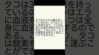 驚きの動物の不思議！知って得する雑学4選