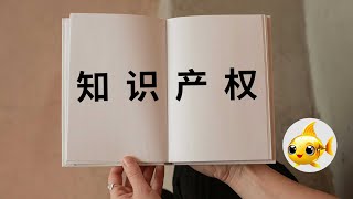 【经济原理】知识产权是财产权还是迷信？||看完这期你才会明白。