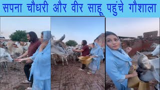 Sapna Choudhary और Veer Sahu पहुंचे गौशाला  Haryana Beats
