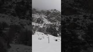 تساقط الثلوج في أعالي جبال تيزي وزو