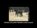 eibert 419 friesenhengst kfps stallion video channel