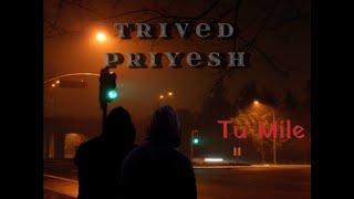 TRIVED, PRIYESH - Tu Mile (Official Audio)