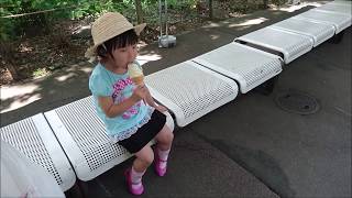 府中郷土の森　交通公園　博物館　水遊びの池　ゴーカート　バス　ゆき４歳