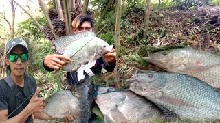 Rekor paser ikan nila super2 besar di sepot sarang buaya‼️