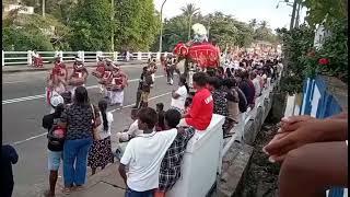 Elephant Crashes into Person 😢 A Shocking Moment #elephant #attack  #animals