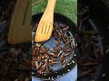 How to cook Cicadas