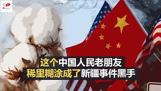 这个中国人民老朋友，稀里糊涂成了新疆事件黑手  | 大事小评（陈小平20210406）