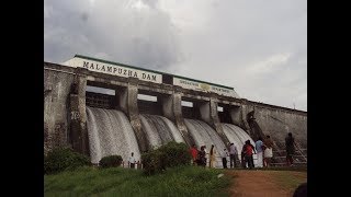 4 വർഷത്തിനു ശേഷം മലമ്പുഴ ഡാം തുറന്നു | Malampuzha Dam Kerala India | shutter open