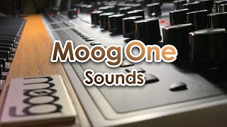 Moog One Sounds No Talking