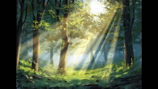 PROCREATE Landscape Drawing Tutorial Forest Sun Rays (HiPaint Version)