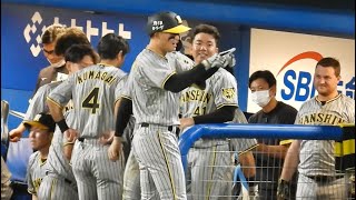 【森下翔太】8回、本日2本目となる第8号ソロホームラン！ 9/1対スワローズ戦