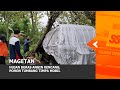 MAGETAN - Hujan Deras Angin Kencang, Pohon Tumbang Timpa Mobil