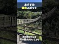 平野に突如として現れる東洋のナイアガラ「原尻の滝」観光スポット紹介 大分県 shorts