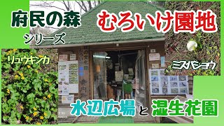 府民の森シリーズの　緑の文化園むろいけ園地