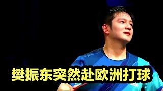 樊振东突然赴欧洲打球！国乒王牌未来去向尘埃落定，王励勤批准了