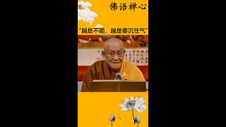 “越是不顺，越是要沉住气”#禅语智慧#人生感悟#悟人生之道