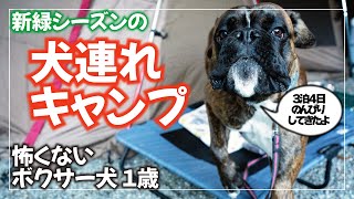 【神奈川県 バウアーハウス】生後1歳のキャンプ犬くろさんがスローキャンプを堪能してきました【犬連れキャンプ】