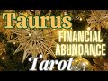 TAURUS Tarot~Money & Career~December 2024💰💫💰