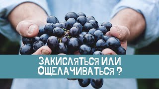 Как питаться для долгой и здоровой жизни? Закисляться или ощелачиваться?