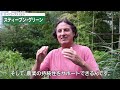 rockcorps japan 2022 volunteer project highlights