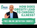 How does obesity lead to chronic illness? | PAN Academy | Free Online Nutrition Courses