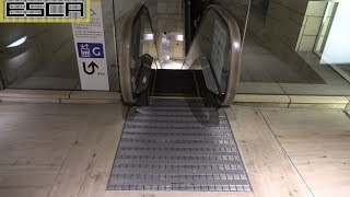 六本木ヒルズ エスカレーター テレ朝側 2F-B2 ヒルサイドRoppongi hills Escalator hillside