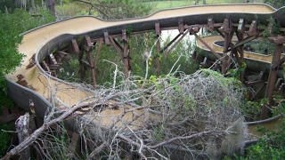 Disney's Forgotten Waterpark - Abandoned River Country