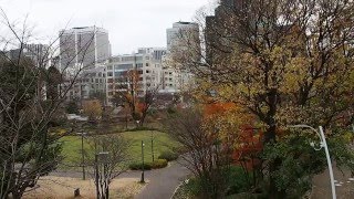 東京　六本木　東京ミッドタウン　紅葉　２０１５．１２．１７　Tokyo Midtown Roppongi