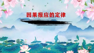 因果報應的定律【理悟大和尚】1