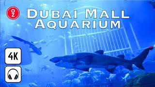 DUBAI MALL Aquarium & Underwater Zoo COMPLETE WALKING TOUR Tunnel & More 🇦🇪