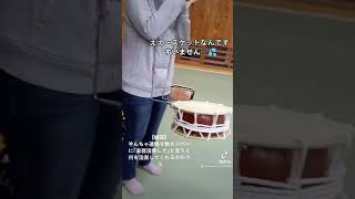 【検証】突然「演奏して」と無茶ぶりしたら・・・？