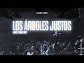 Los árboles Justos | Daniel Piedra Soto