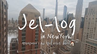 [뉴욕 vlog] 미국 일상 브이로그 | 뉴욕 맨하탄 아파트 헌팅 | 1 베드룸 월세 | 브루클린 | 덤보 | 맨하탄 브릿지 | 그리말디 피자 | 고양이 채터링 | 사냥놀이