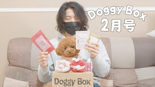 愛犬にバレンタインのプレゼント【ドギーボックス2月号】