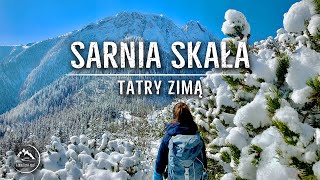 Sarnia Skała - Tatry zimą - Dolina Strążyska, Ścieżka nad Reglami. (05.04.2021)