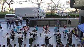 【公式】 鳳遙恋2017『閃煌』 市ヶ谷新歓祭／正門前